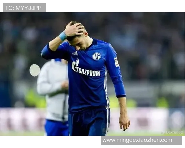 沙尔克04主场逼平斯图加特，积分榜稳步上升