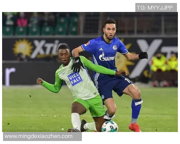 沙尔克04主场保持不败，稳坐积分榜前列