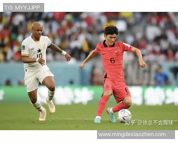 韩国与卡塔尔精彩对决视频集锦回顾赛场瞬间与精彩进球时刻 韩国与卡塔尔精彩对决视频集锦回顾赛场瞬间与精彩进球时刻