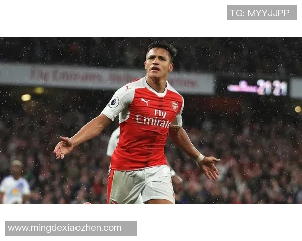 维尔马伦的职业生涯回顾与未来发展展望分析 维尔马伦的职业生涯回顾与未来发展展望分析