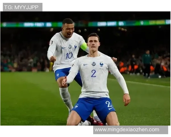 欧洲杯激战法国对阵爱尔兰精彩回顾与赛后分析