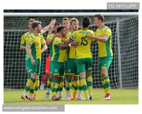 西布朗对阵诺维奇精彩直播时间及观看方式详解